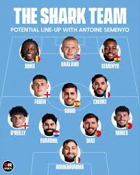 NBA｜14分差杀退黄蜂 金块9连胜升西部第2