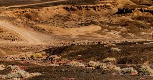 扑克为什么要轮流行动（为什么打扑克要按顺序行动）